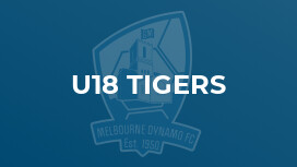 u18 Tigers