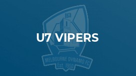 u7 Vipers