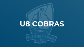 u8 Cobras