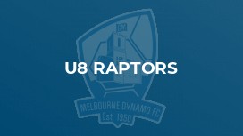 u8 Raptors