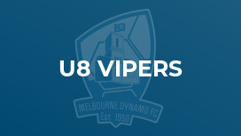 u8 Vipers