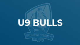 u9 Bulls
