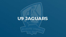 u9 Jaguars