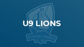 u9 Lions