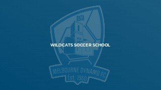 Wildcats Soccer School