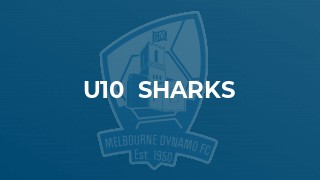 u10  Sharks