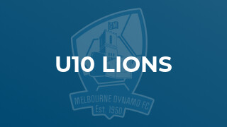 u10 Lions