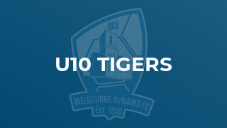 u10 Tigers