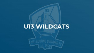 u13 Wildcats