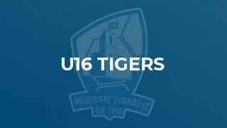 u16 Tigers