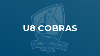 u8 Cobras