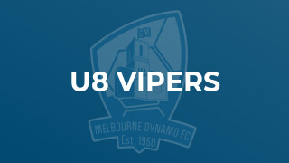 u8 Vipers