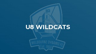 u8 Wildcats