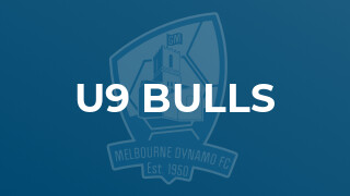 u9 Bulls