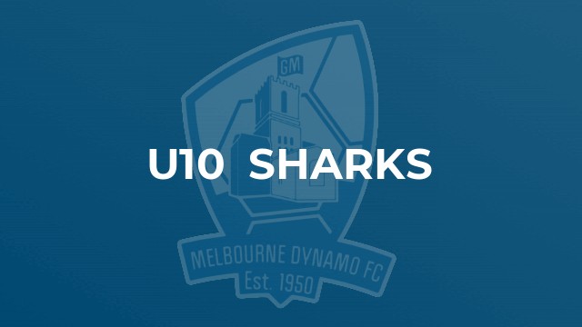 u10  Sharks