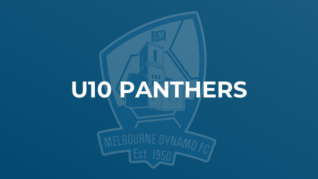 u10 Panthers