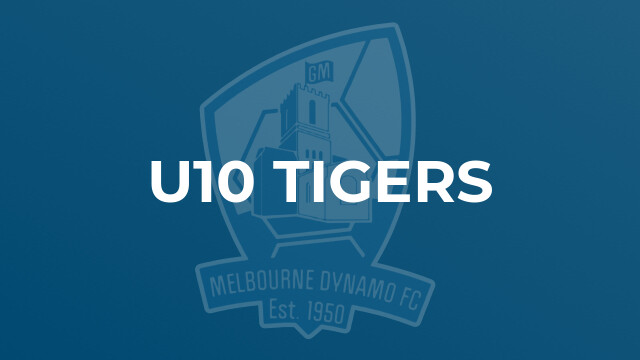 u10 Tigers