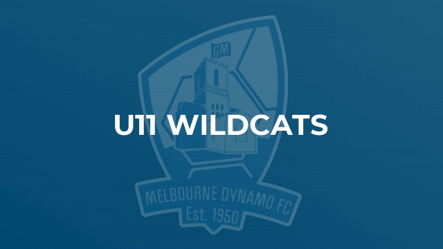 u11 Wildcats