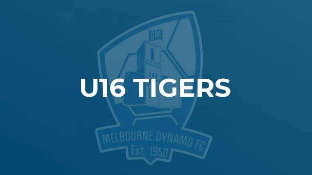 u16 Tigers