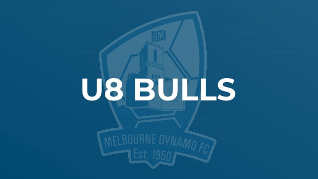 u8 Bulls