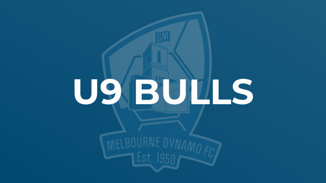 u9 Bulls
