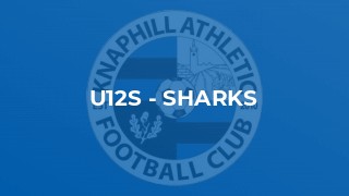 U12s - Sharks