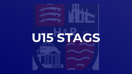 u15 Stags