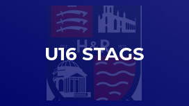 u16 Stags
