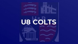 u8 Colts