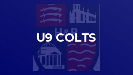 u9 Colts