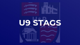 u9 Stags
