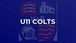 u11 Colts