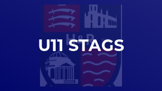 u11 Stags