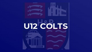 u12 Colts