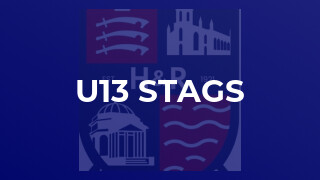 u13 Stags