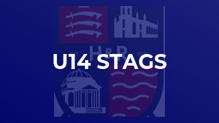 u14 Stags