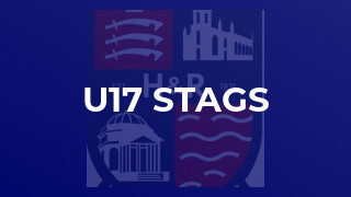 u17 Stags