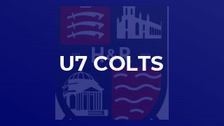 u7 Colts