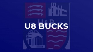 u8 Bucks