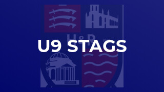 u9 Stags