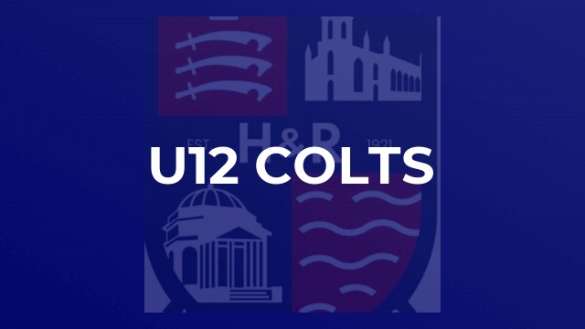 u12 Colts