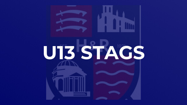 u13 Stags