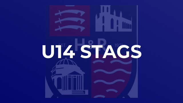 u14 Stags
