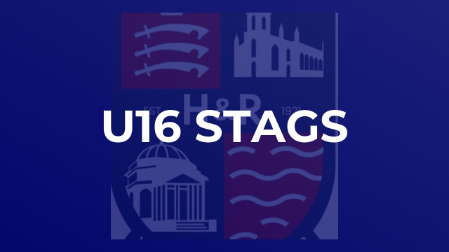 u16 Stags
