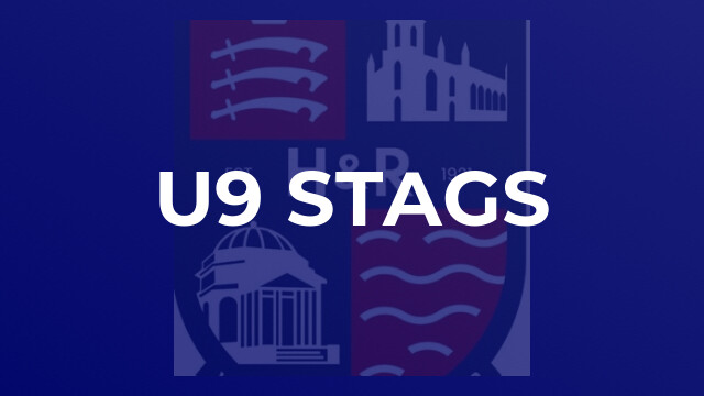 u9 Stags
