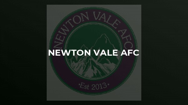 Newton Vale 4-1 Steins Thistle 
