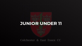 Junior Under 11