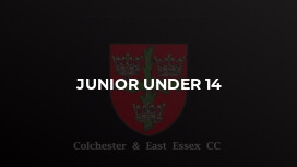 Junior Under 14