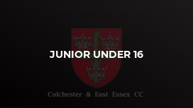 Junior Under 16