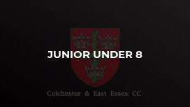 Junior Under 8
